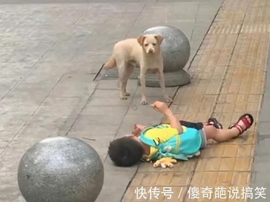 宝妈|“倔强母子”火了,街头相隔3米僵持不下,孩子:敌不动我不动