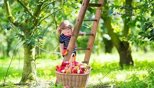 人的价值|什么样的孩子,长大会更优秀?一定离不开下面3种