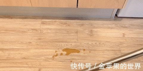 屋里两三天没有打扫就会出现很多“毛毛”，这是怎么一回事！