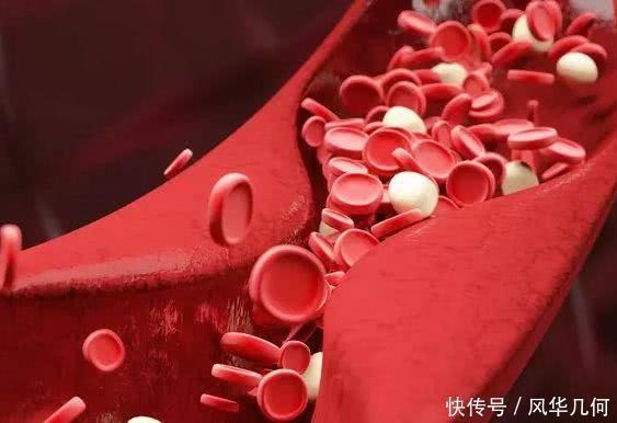 男人|寿命长的男人，通常有3处是“软的”，若你符合，恭喜你很健康