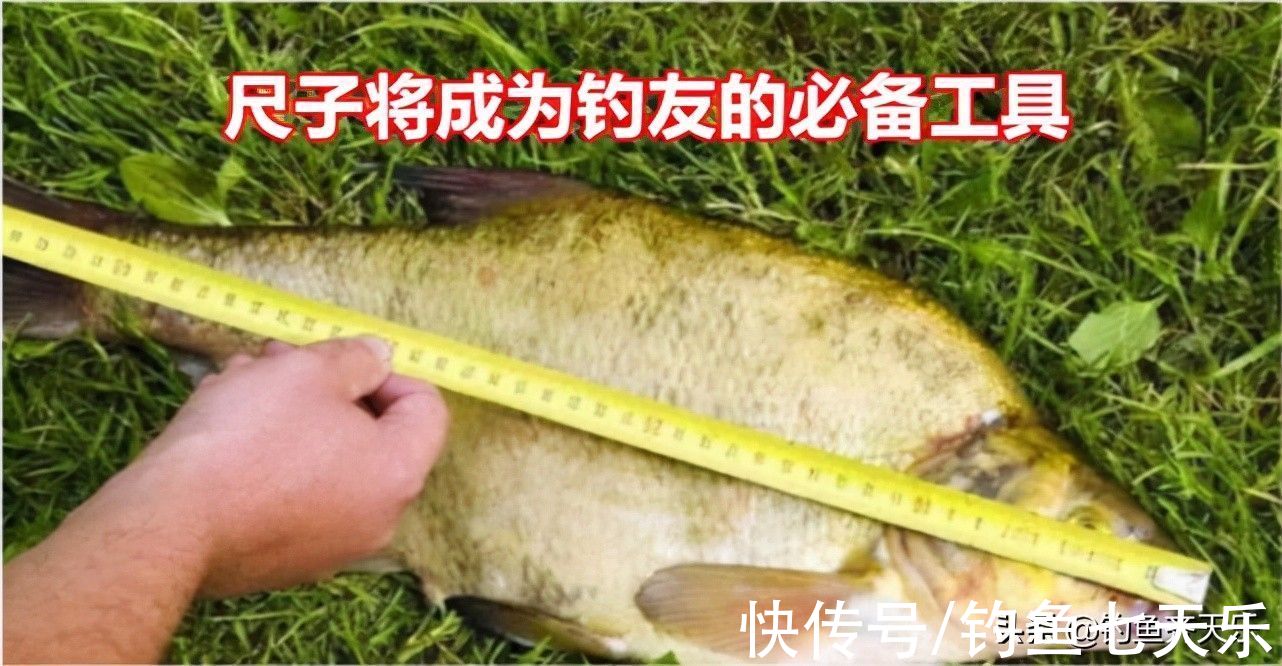 重庆|重庆垂钓规范出台，多种鱼不能再钓！网友：钓鱼前请带好尺子和秤