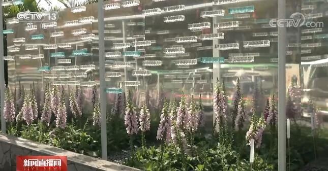 中年|春节假期过半，全国多地城市周边游火爆