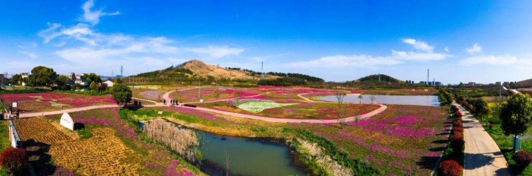 姥山岛|风景这边独好！2021年巢湖姥山岛美景美图欣赏！