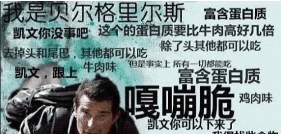 莫煌!五本轻松幽默的网络小说,最后一本就算熬夜也要读完!