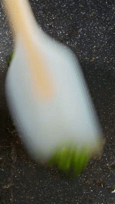 番茄|没准备好一锅米饭，我劝你就别做它了