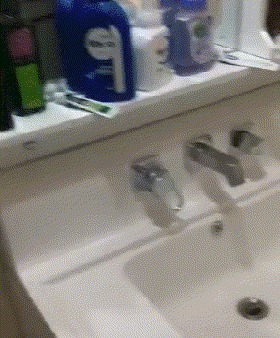 |GIF搞笑趣图:哥们,你绝对是故意的啊!是有预谋的!