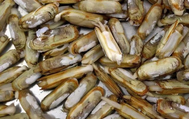 商家|这3种海鲜,内行人碰到扭头就走,没营养还贵,商家自己从不吃