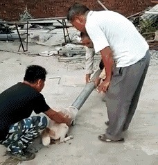 |搞笑GIF:看这熟练的程度 她们肯定不是第一次了