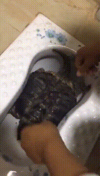 |搞笑GIF:大哥你这样真的好吗,考虑过妹子的感受吗