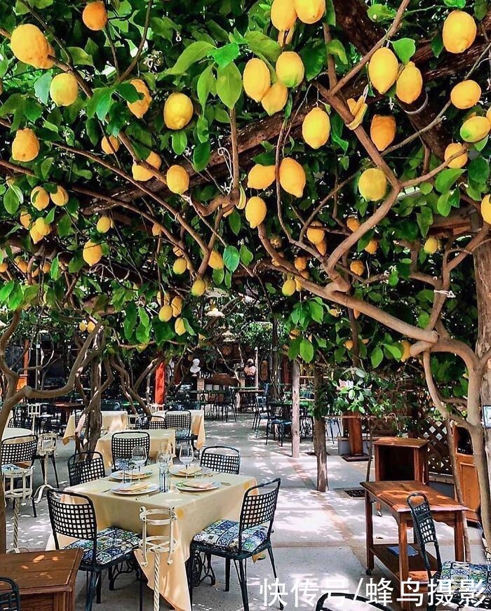 小屋|60个世界上那些令人惊叹的设计,家设计成这样,你还想去上班吗