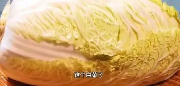 豆腐這樣吃，營養更翻倍！配上“黃金搭檔”，全家老少吃得健康~