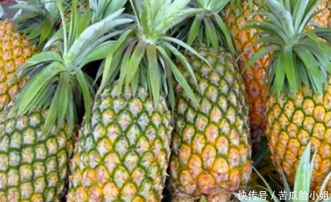 排毒养颜|中年人可以多吃3种食物，排毒养颜、延