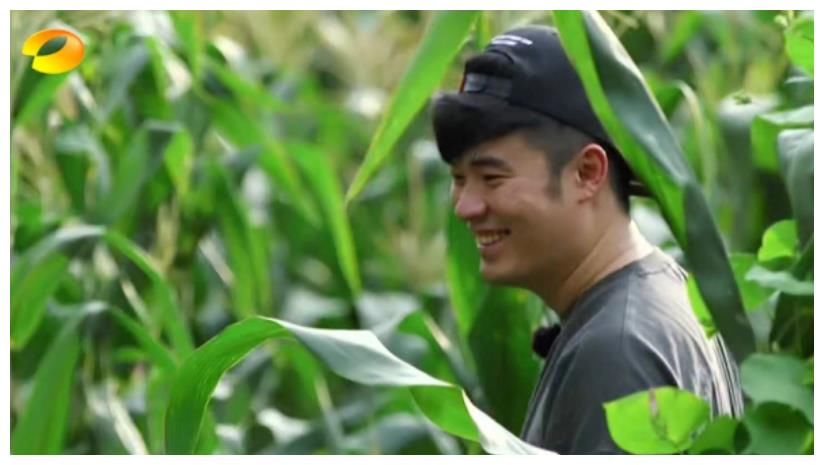 向往的生活5 《向往5》迎来“四季元老”,他把蘑菇屋当自己家,下期未播先火