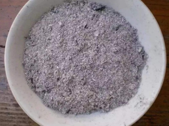 蚜虫太多灭不尽，一个小窍门，不用打药灭蚜虫，效果真的好!