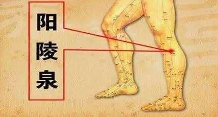 足太阴脾经|健不健康根据腿就可以清楚,常揉3处,气血足,腿脚好