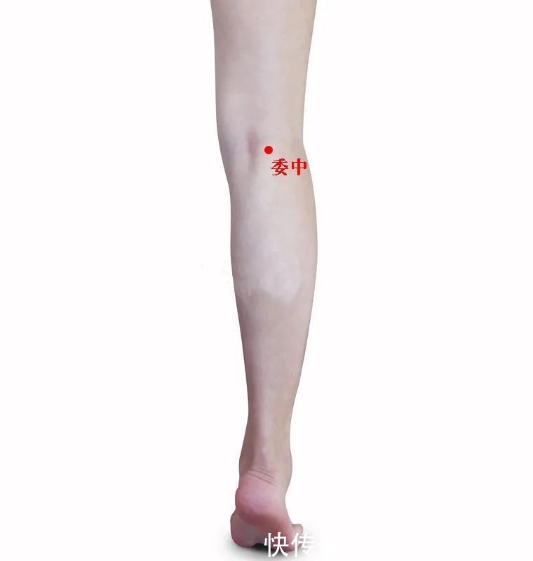 尺泽穴|人体自带4个长寿窝,每天只要5分钟,拍一拍,心肝脾肺肾都好了!