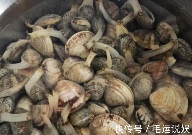 焯水|炒“花甲”时到底焯不焯水,很多人没做对,难怪花甲又沙又不鲜