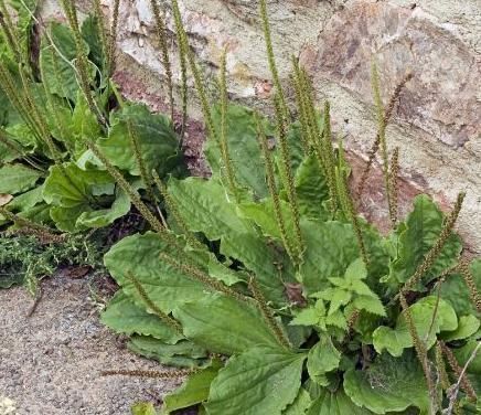 改造|跪服!35㎡小公寓却拥有30㎡收纳空间,堪称小户型改造典范!