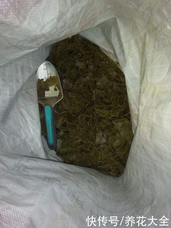 这5种动物粪便，居然是养花神器，越用花卉长得越旺