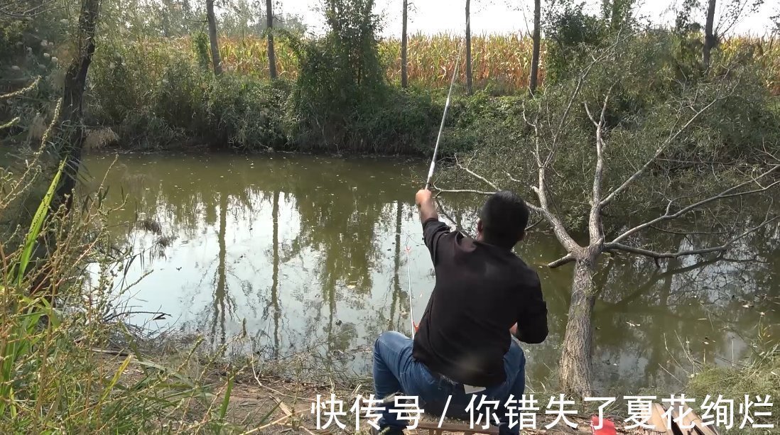 野钓为何就是没有别人选的钓位好鱼的这三个习性不可小觑