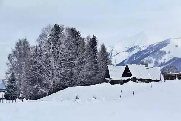 神话里|如果东北的雪景是童话，那北疆的雪景便是神话！