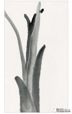 教程@图文教程——芭蕉画法