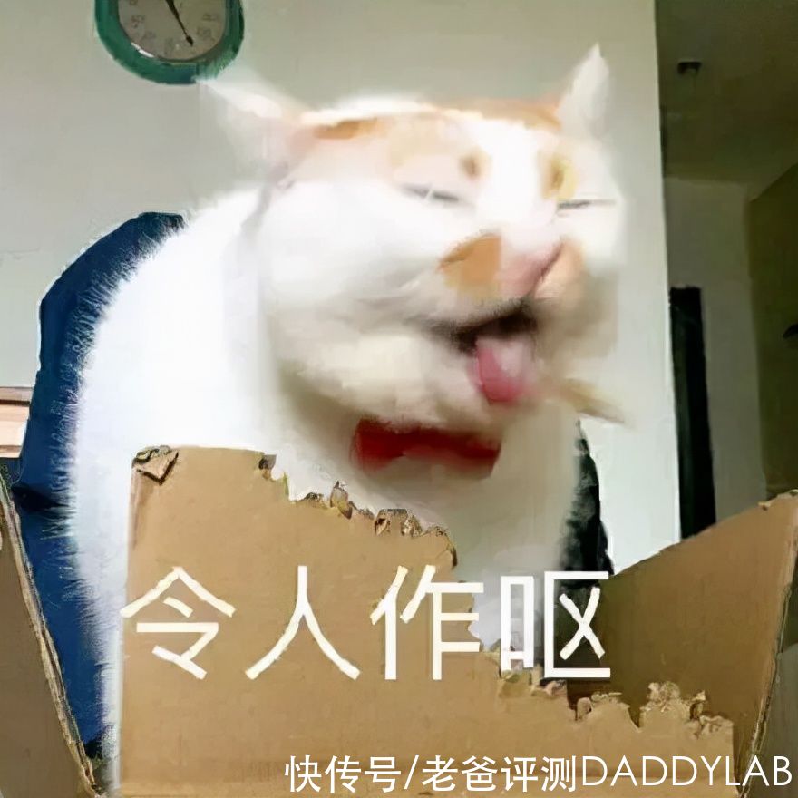 指南|如何才能不晕车？这份晕车拯救指南请查收