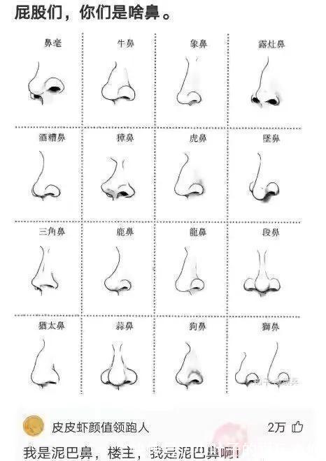 |神评段子合集：月老给你绑的钢丝，都被你用老虎钳剪断哈哈哈