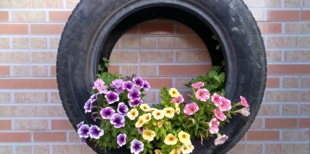 塑料瓶|旧筷子、老干妈瓶别扔,拿来养花效果好,省下一笔养花钱