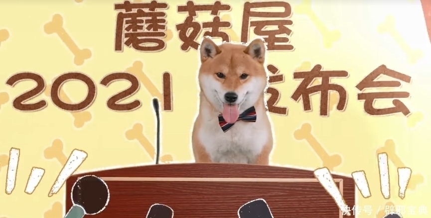 小不点|《向往的生活》小H开发布会,细数蘑菇屋的小可爱,你还记得几个