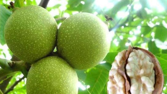 春天女性要多吃3種食物，排毒抗衰、養護血管，預防子宮早衰