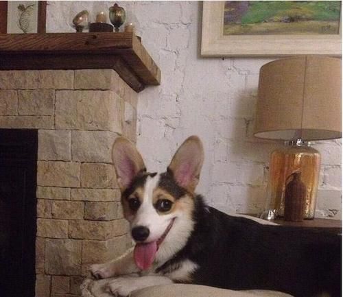 家具|走进演员袁立的豪宅,家里没有一件现代化家具,真有一种穿越感