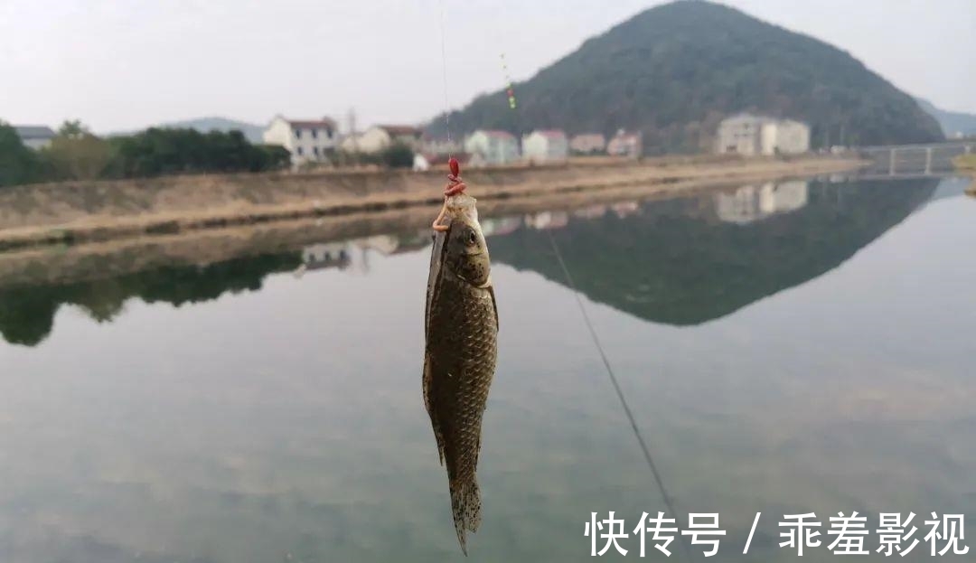 上几条鱼就停口?冬季野钓最大的难题,唯有这样解决才对路!