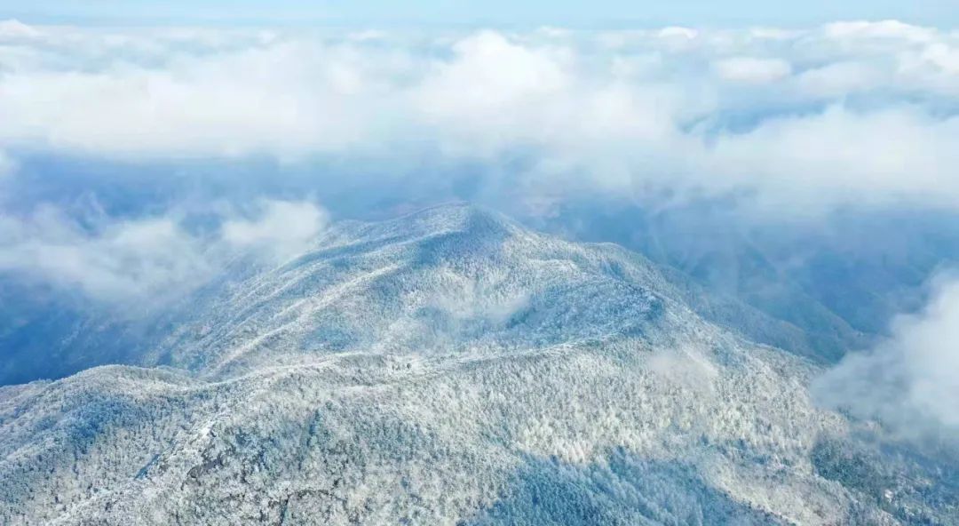 美景|华顶迎今年首场雾凇！天台山美景刷爆朋友圈！