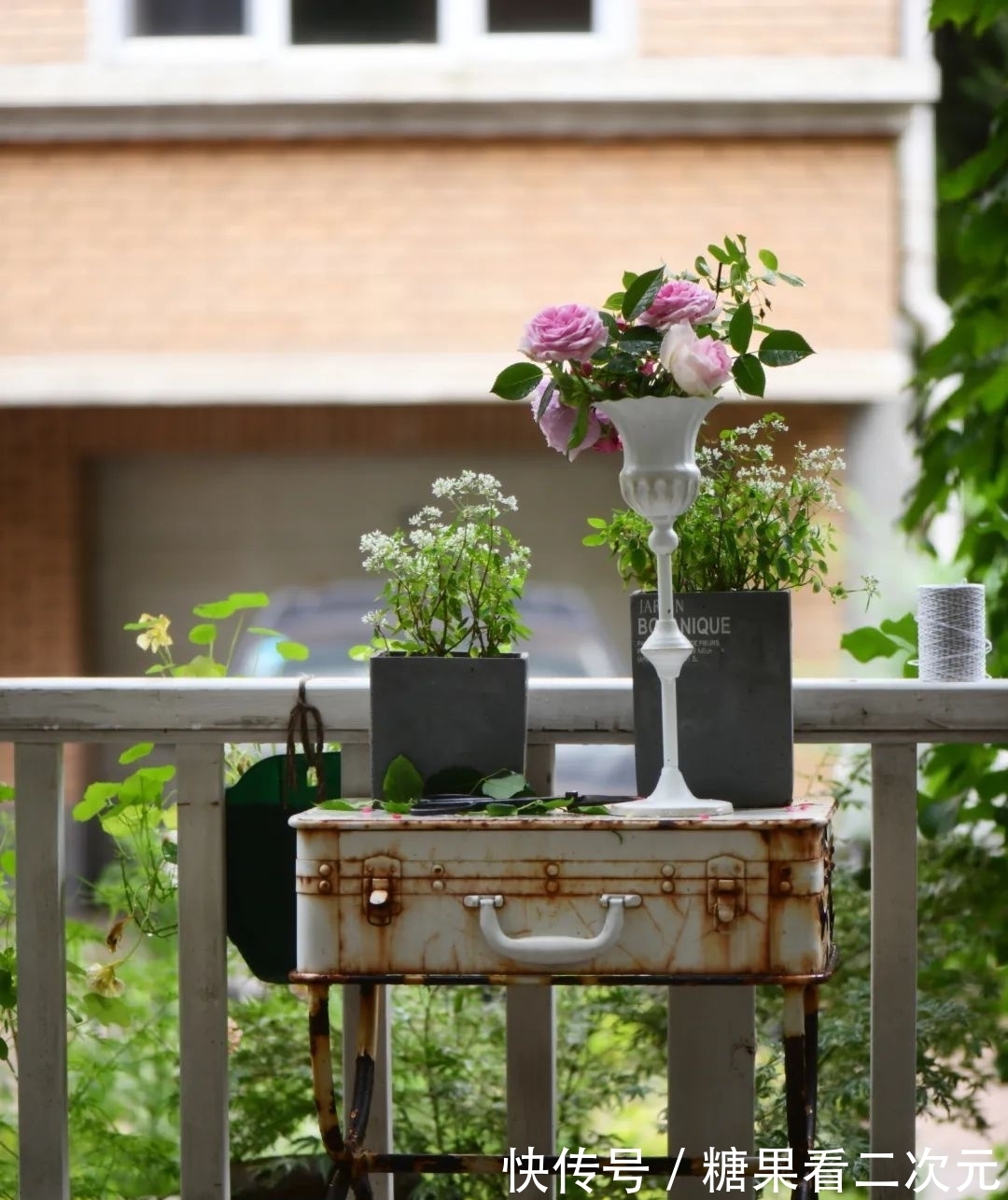 王俐|服装设计师兼花园设计师,裁剪最美的花园时光