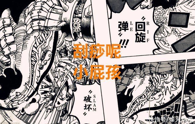 龙之力|海贼王1020话:凯多出现两个致命误判，路飞桃之助是否能合体?