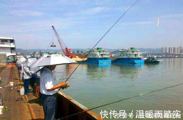 钓鱼|“一人一竿”不应成奢望！长江流域垂钓管理思路亟待改进