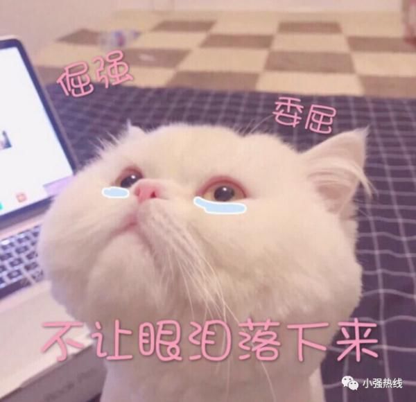 痔疮|广东一男子因痔疮入ICU!醒来第一件事:让送电脑整理报表!