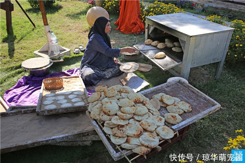 埃及饼子|中国游客到埃及开罗哈利利吃午饭，150元人民币都吃啥