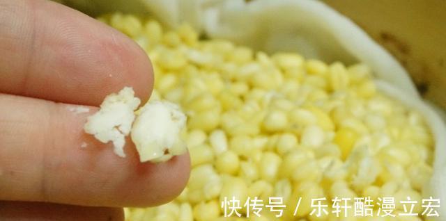 自制|不加一滴水，在家自制高颜值无添加绿豆糕，冰凉软糯入口即化