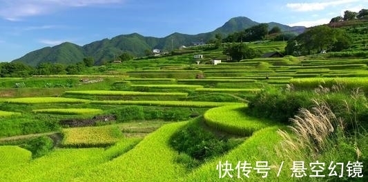 佳作&郑板桥的一首佳作,意到笔随,展现了乡村生活的苦乐悲欢