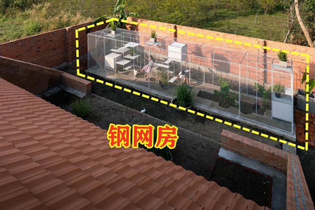 钢网|如果你家有个院子，也要搭个钢网房，在里面养鸡养花，生活好自在