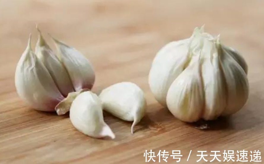 养花老生虫盆里放一物,没有一个虫,枝繁叶茂、开花多!