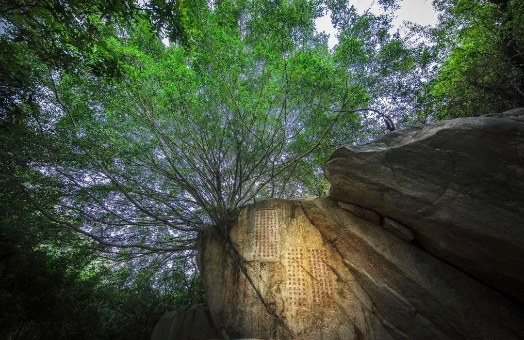 石刻|九日山：祈风石刻讲述海丝故事