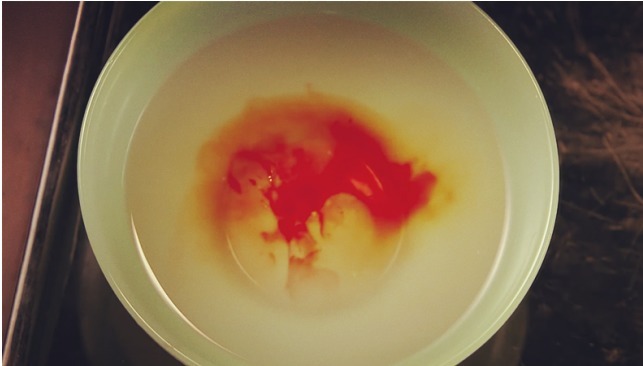 滴血|古人鉴定父子关系除了滴血认亲,还有招更狠的!不过可笑至极!