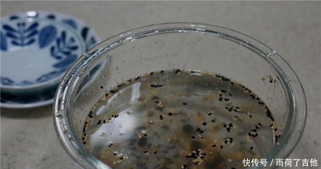 光泽|是“穷人的阿胶”，如果时不时地喝一碗，皮肤就会有光泽有弹性