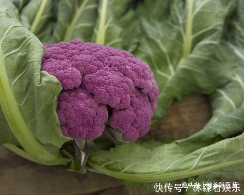 人到中年想长寿,以下食物要多吃,补充营养,提供能量,不妨一试