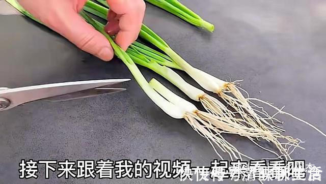搅拌均匀|扔葱根等于扔钱,葱根原来是个宝,作用这么厉害,太实用了
