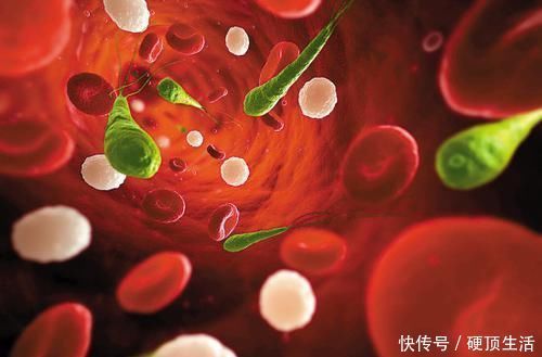 不饱和脂肪酸|高血脂除了吃药,这6种食物要多吃,帮助降血脂,身体更健康