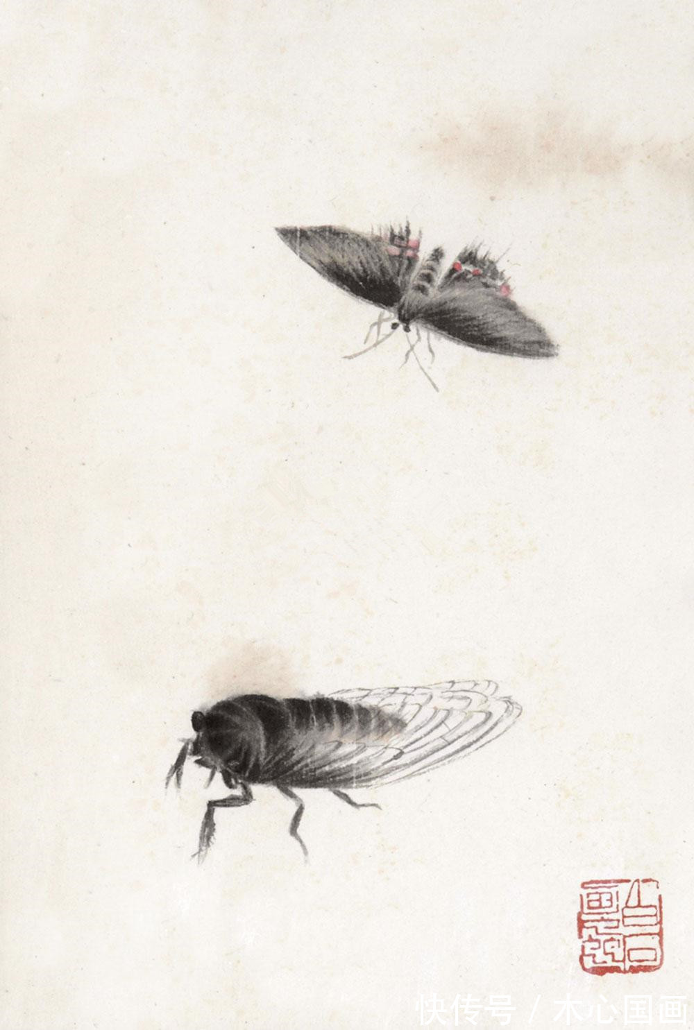 草虫#白石老人草虫作品欣赏“可惜无声”